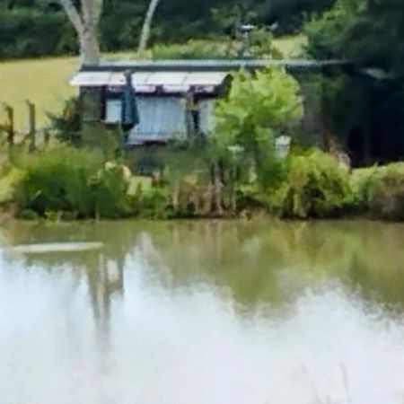 Peaceful Ensuite Lakeside Cabin 'Tench' Hadlow Down Extérieur photo