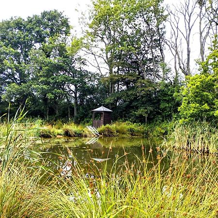 Peaceful Ensuite Lakeside Cabin 'Tench' Hadlow Down Extérieur photo