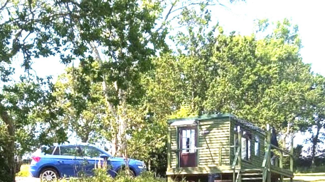 Peaceful Ensuite Lakeside Cabin 'Tench' Hadlow Down Extérieur photo