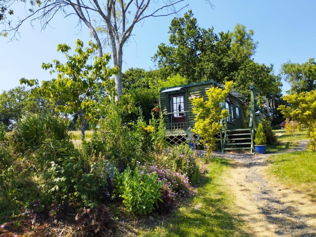 Peaceful Ensuite Lakeside Cabin 'Tench' Hadlow Down Extérieur photo