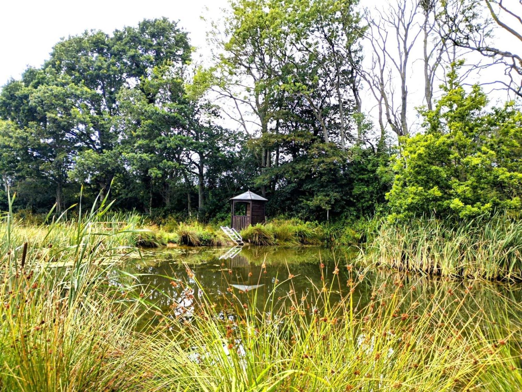 Peaceful Ensuite Lakeside Cabin 'Tench' Hadlow Down Extérieur photo